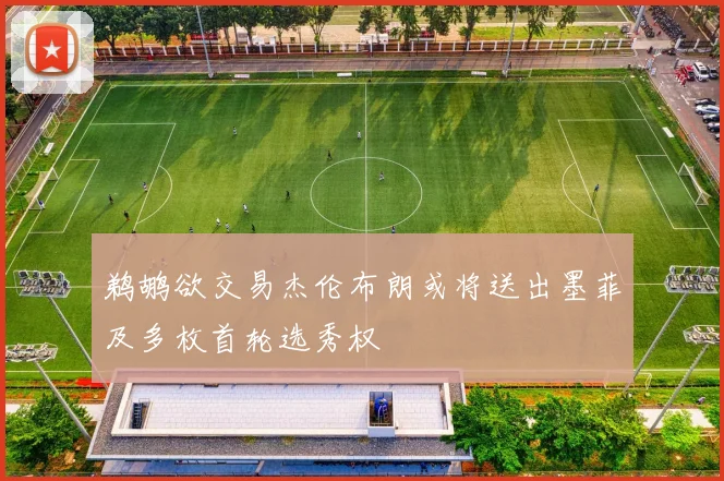 鹈鹕欲交易杰伦布朗或将送出墨菲及多枚首轮选秀权