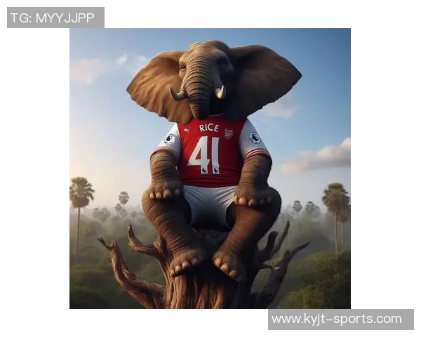 佩蒂特批评切尔西曼联缺乏远见赞阿森纳全力支持塔帅发展 佩蒂特批评切尔西曼联缺乏远见赞阿森纳全力支持塔帅发展